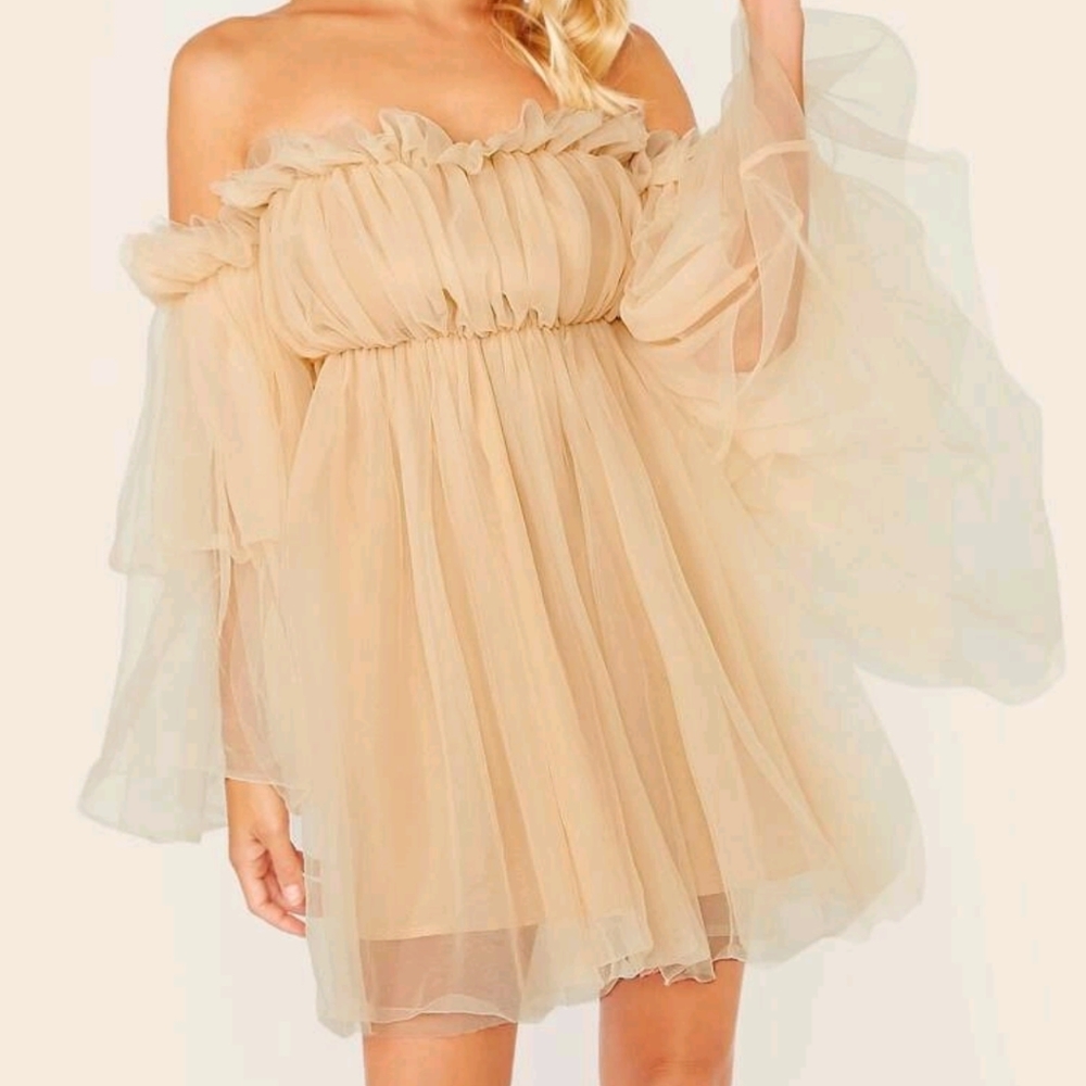 Beige Tulle Dress off the shoulder